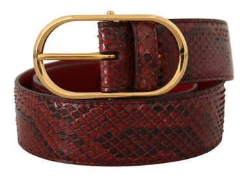 Dolce & Gabbana Elegant Red Snakeskin Leather Belt